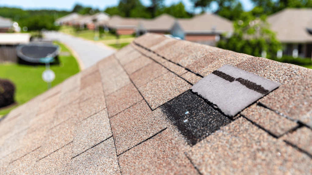 Damaged Shingle Roof ORB Roofing Solutions